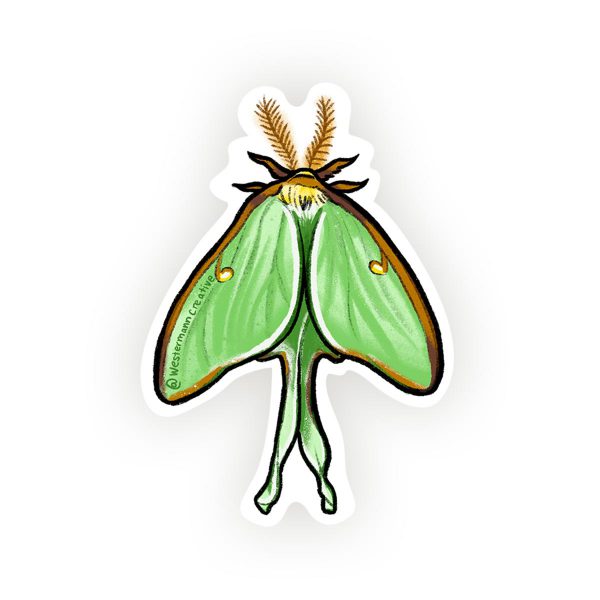Luna Moth Illustration, Vinyl Sticker Art